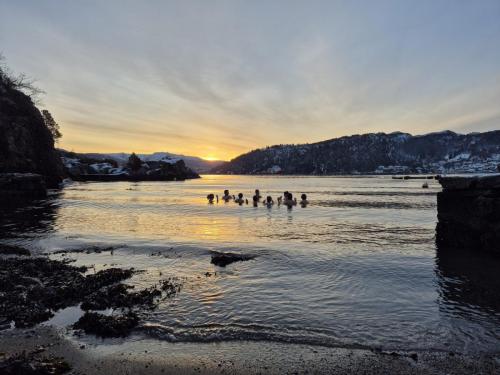 05 donnerstag eisbaden3